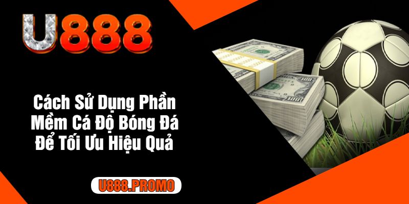 Cách Sử Dụng Phần Mềm Cá Độ Bóng Đá Để Tối Ưu Hiệu Quả