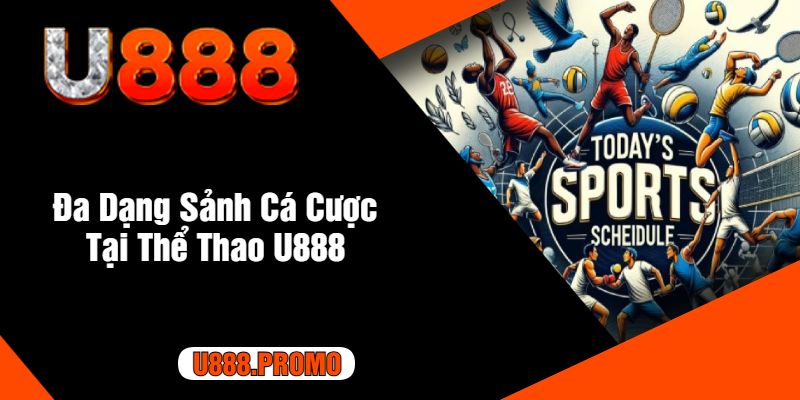 Đa Dạng Sảnh Cá Cược Tại Thể Thao U888