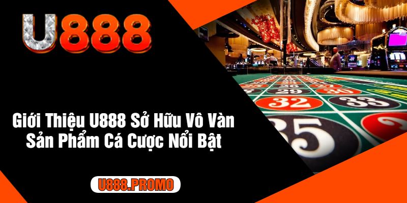 Giới Thiệu U888 Sở Hữu Vô Vàn Sản Phẩm Cá Cược Nổi Bật