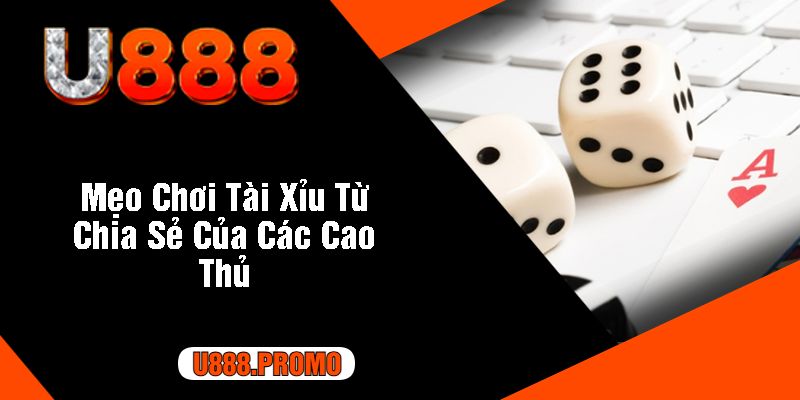 Mẹo Chơi Tài Xỉu Từ Chia Sẻ Của Các Cao Thủ