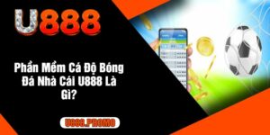 Phần Mềm Cá Độ Bóng Đá Nhà Cái U888 Là Gì?