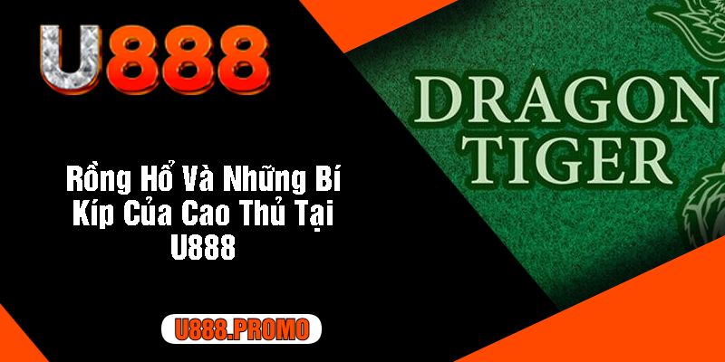 Rồng Hổ Và Những Bí Kíp Của Cao Thủ Tại U888