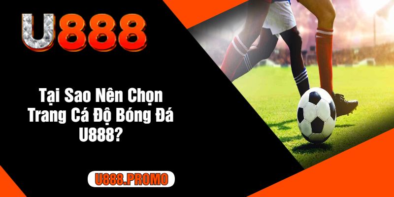 Tại Sao Nên Chọn Trang Cá Độ Bóng Đá U888?