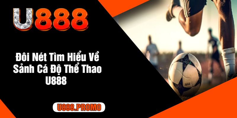 Đôi Nét Tìm Hiểu Về Sảnh Cá Độ Thể Thao U888 